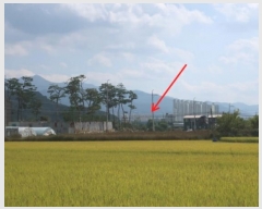  2021Ÿ��2761  ����