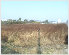  2021Ÿ��2761  ����