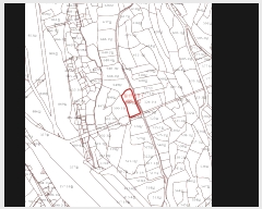  2021Ÿ��2761  ����