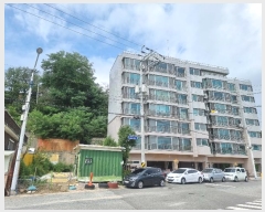  2021Ÿ��10925 ���� ���ʽ� ������ 595       ����(��1)���