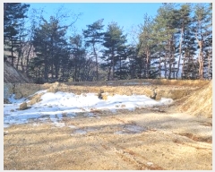  2021Ÿ��11683  �Ӿ߰��