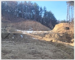  2021Ÿ��11683  �Ӿ߰��