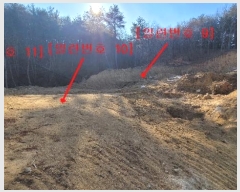  2021Ÿ��11683  �Ӿ߰��