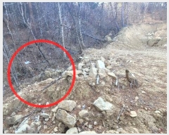  2021Ÿ��11683  �Ӿ߰��