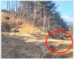  2021Ÿ��11683  �Ӿ߰��