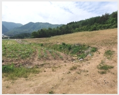  2021Ÿ��301068 ���� ��â�� ���θ� ������ 558-2      ����(����)���