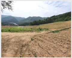  2021Ÿ��301068 ���� ��â�� ���θ� ������ 558-2      ����(����)���