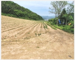  2021Ÿ��301068 ���� ��â�� ���θ� ������ 558-2      ����(����)���