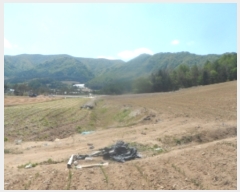  2021Ÿ��301068 ���� ��â�� ���θ� ������ 558-2      ����(����)���