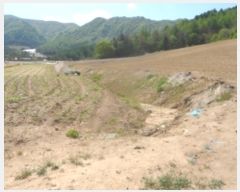  2021Ÿ��301068 ���� ��â�� ���θ� ������ 558-2      ����(����)���