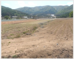  2021Ÿ��301068 ���� ��â�� ���θ� ������ 558-2      ����(����)���