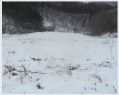  2021Ÿ��1030  �����