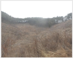  2021Ÿ��1030 ���� ��â�� ��ȭ�� ��ȭ�� ��276      ����(�Ӿ�)���