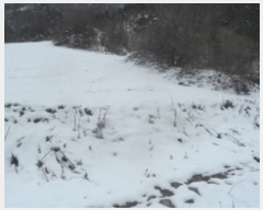  2021Ÿ��1030  ���ð��