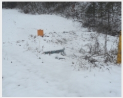  2021Ÿ��1030  ���ð��