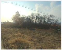  2021Ÿ��7958 ��� û�ֽ� û���� ���̸� ������ 248-16     ����(�Ӿ�)���