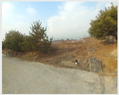  2021Ÿ��7958 ��� û�ֽ� û���� ���̸� ������ 248-16     ����(�Ӿ�)���