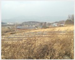  2021Ÿ��7958 ��� û�ֽ� û���� ���̸� ������ 248-16     ����(�Ӿ�)���