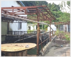  2021Ÿ��32452 ��� ������ ����� ��츮 384      ������