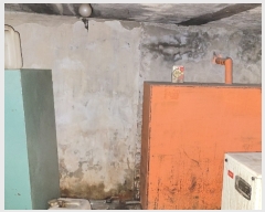  2021Ÿ107053  ߱ ﵿ 96-3       ܵ,ð