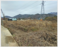  2021Ÿ109912 泲 ݻ걺 ߺθ 븮 23-1      ü