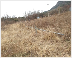  2021Ÿ109912 泲 ݻ걺 ߺθ 븮 23-1      ü