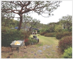  2021Ÿ102125 泲 õȽ   1-4      ð