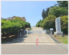  2021Ÿ508  (Ӿ)