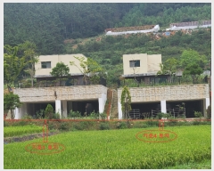  2021Ÿ��4180  ���ð��