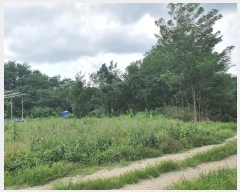  2021Ÿ��1301 ��� ���ֽ� �μ��� ��ϸ� 797-1      ���ð��