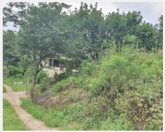  2021Ÿ��1301 ��� ���ֽ� �μ��� ��ϸ� 797-1      ���ð��