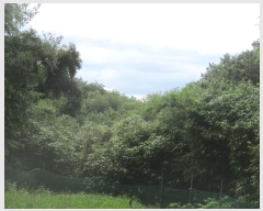  2021Ÿ��813 ��� ���ֽ� ������ �ܱ��� 433      ����(��1)���