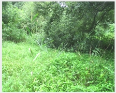  2021Ÿ��813 ��� ���ֽ� ������ �ܱ��� 433      ����(��1)���