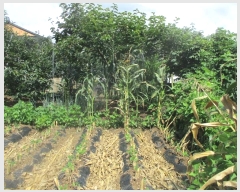  2021Ÿ��813 ��� ���ֽ� ������ �ܱ��� 433      ����(��1)���