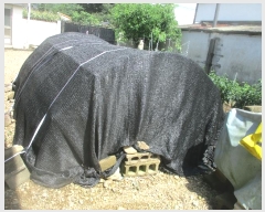  2021Ÿ��813 ��� ���ֽ� ������ �ܱ��� 433      ����(��1)���