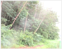  2021Ÿ��813 ��� ���ֽ� ������ �ܱ��� 433      ����(��1)���