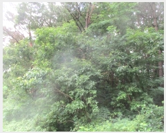  2021Ÿ��813 ��� ���ֽ� ������ �ܱ��� 433      ����(��1)���