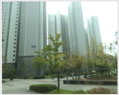  2021Ÿ14341  ̽ 굿 Ŵδ3 1, 109 242404ȣ (̸ǮϿ콺)   Ʈ