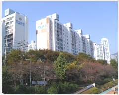  2021Ÿ��57508 �λ� ������ �߾Ӵ��1226���� 4, 1�� 10��1008ȣ (������,�����Ѿ�)    ����Ʈ���