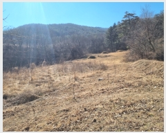  2021Ÿ��113166 ��� ���ֱ� �μ��� ���͸� 1028-1      ����(��1)���