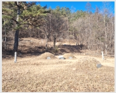  2021Ÿ��113166 ��� ���ֱ� �μ��� ���͸� 1028-1      ����(��1)���