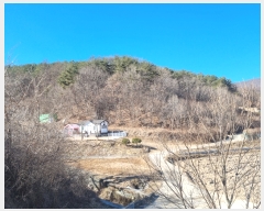  2021Ÿ��113166 ��� ���ֱ� �μ��� ���͸� 1028-1      ����(��1)���