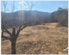  2021Ÿ��113166 ��� ���ֱ� �μ��� ���͸� 1028-1      ����(��1)���