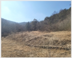  2021Ÿ��113166 ��� ���ֱ� �μ��� ���͸� 1028-1      ����(��1)���