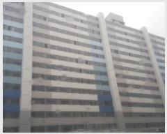 2021Ÿ5074  Ʈ