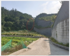  2021Ÿ��103803 �λ� ���屺 ����� �ݷ渮 202      ����(��)���