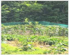  2021Ÿ��103803 �λ� ���屺 ����� �ݷ渮 202      ����(��)���