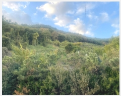  2021Ÿ��7180 �泲 â���� ��â�� �ϸ� ���̸� ��56     ����(�Ӿ�)���