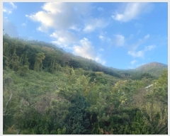  2021Ÿ��7180 �泲 â���� ��â�� �ϸ� ���̸� ��56     ����(�Ӿ�)���