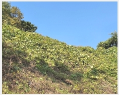  2021Ÿ��7180 �泲 â���� ��â�� �ϸ� ���̸� ��56     ����(�Ӿ�)���